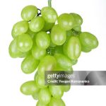 Fresh green grapes isolated on white background